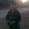 dilnawaz9801
