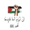 user2033386205137