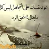 king4492610985978
