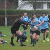 cian_d173