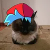 kblt_boy_friend