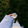 h.0__dl