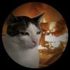 arsoncat21