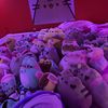 nichollepusheen246