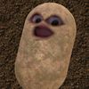 potat0_life