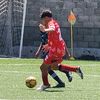 bottini_24