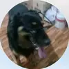 agustinpaniagua8
