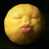 themacadamiancookie