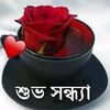 user27824480777420