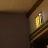 ゆーゆ