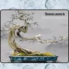 bonsai_cuongle95