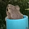 ratchapat.niji
