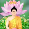 smmai045