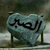 user3699109318457