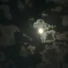 kcolb6