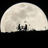 darkmoon6777