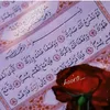 user1443909458157