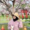 arim_aja