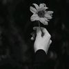 emmm_6789