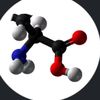 iwaros4