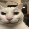 kakakahdhajsna