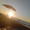 aboomar85851