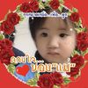 nubpan_stp