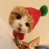 troi_oi5