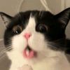 lorrain_oo1