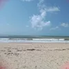 flaaviardgs