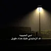hussein_ali875