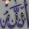user3526903513477