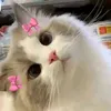 zoeylovescats3