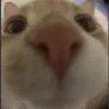 dat020920