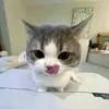 _meoo1707_