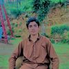pukhtonyaranp