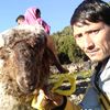 dilak536
