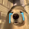 lxunlong0
