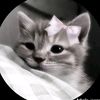 afifaislam516