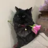 rttuiil
