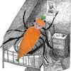 fionaapplesspider