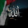hayatq08