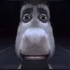 user_.3028
