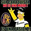 user2348317824137