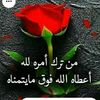 hadel200112141996517