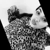 zaiiratorrente
