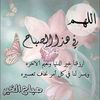 user25216650478