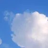 rawaa8826