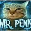 mr.catnigga1