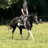 ayla_e.rides
